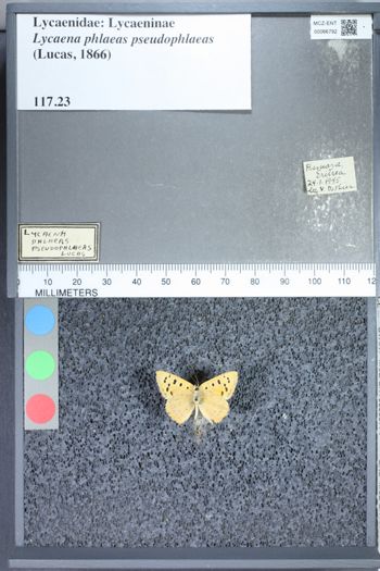 Media type: image;   Entomology 66792